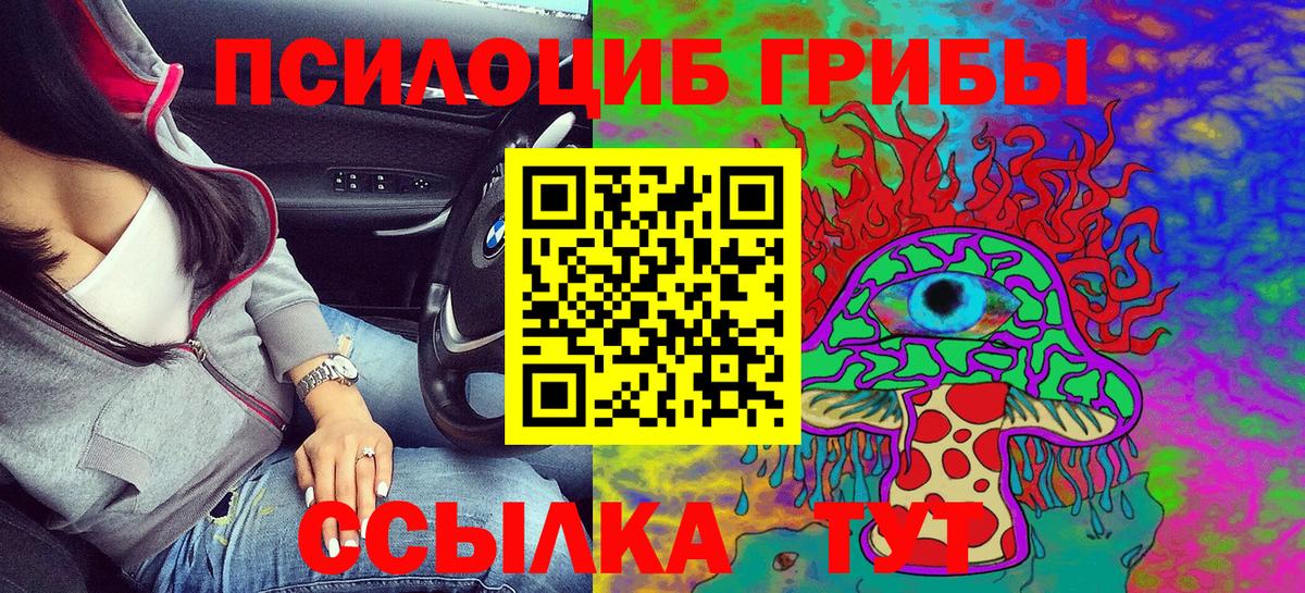 Псилоцибиновые грибы GOLDEN TEACHER Баксан